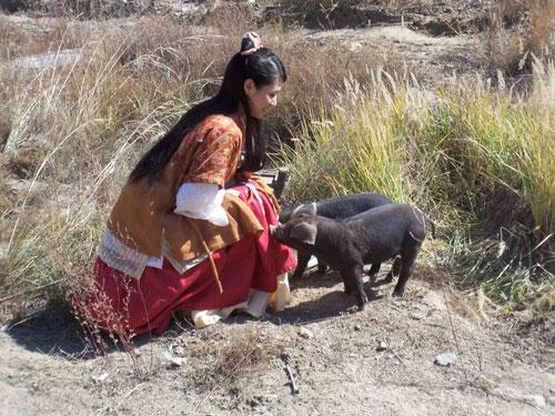 杨渝渝演神仙渴望爱情 下凡体验乐趣多多(图)