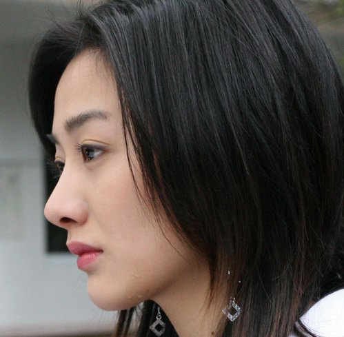 舒砚《都是爱情惹的祸》挑大梁成双面伊人(图)