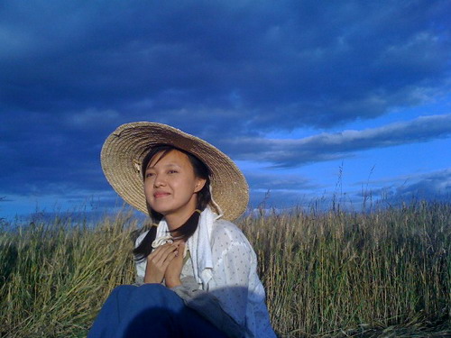 坐在麦田里享受那份静谧 新浪娱乐讯 由山东影视剧中心制作的大型电视