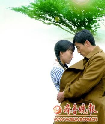 电视剧《山楂树之恋》