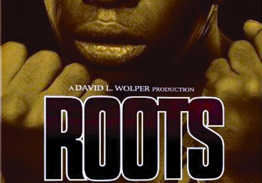 经典美剧资料:ABC电视台《根》简介(组图)