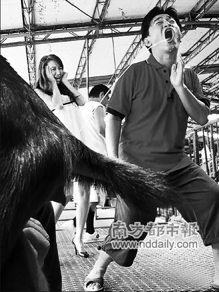 吴宗宪牧场录节目喝羊奶Linda吓到花容失色