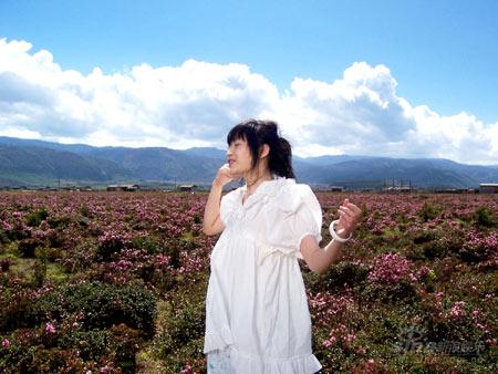 花卉之城千只蝴蝶迎香香 与阿牛同场秀浪漫【图】