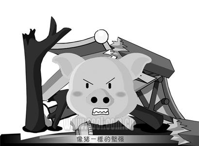 《猪坚强》唱红网络(附图)