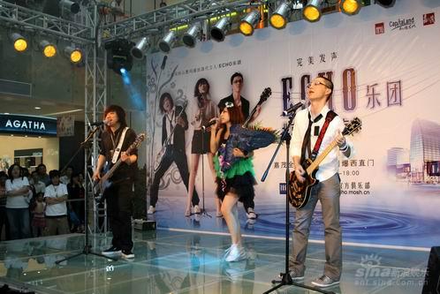 ��ͼ��ECHOǩ�۳�Ƭ�������ޡ�ͷ�����ò�ͷ