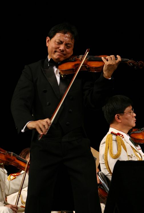 小提琴陈立新橄榄树曲谱_白色橄榄树图片