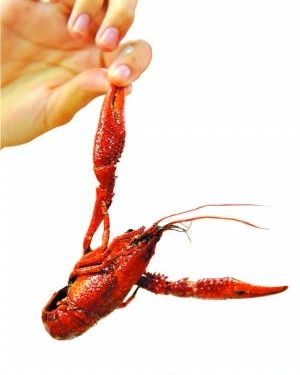 面对如此美味,您能搞定它吗?