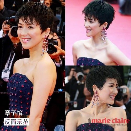 章子怡 反面示范