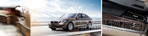 BMW5系Li卓乐版 BMW5系Li卓乐版