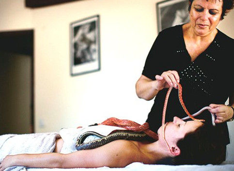 以色列蛇式按摩