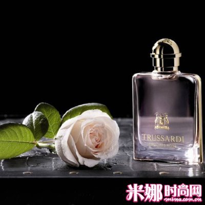 柔美粉玫瑰 恋爱时的微酸和甜蜜