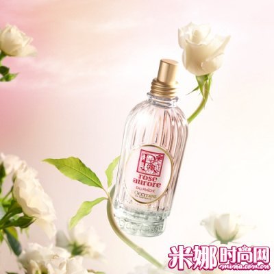 淡雅白玫瑰 最适合夏日的清新风情