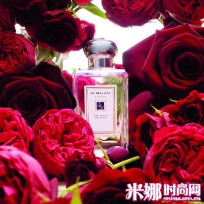 经典红玫瑰 花中最浪漫的华丽