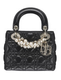 Diorִ ʱн羭ľ