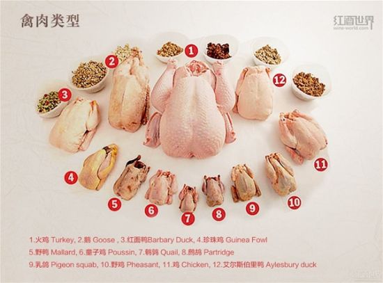 禽肉类型 禽肉类型
