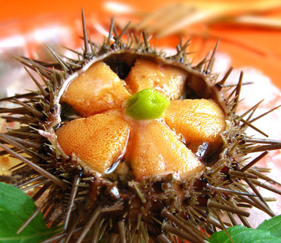 “神秘食材”——海胆籽 “神秘食材”——海胆籽