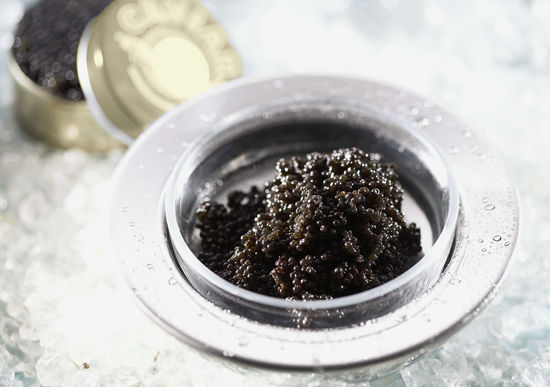伊朗鱼子酱顶级Beluga 伊朗鱼子酱顶级Beluga