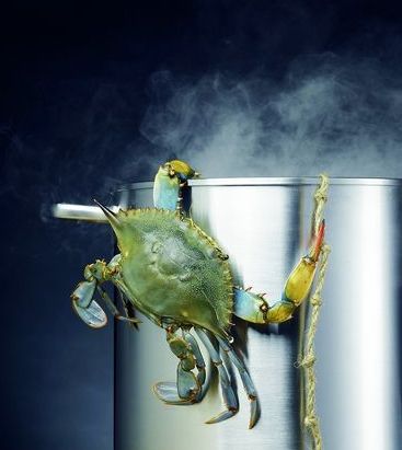 这个时节,吃蟹可是头等大事。