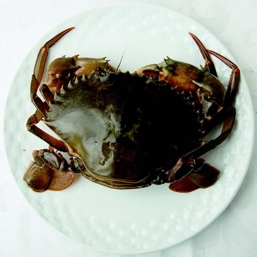 黄油蟹 黄油蟹