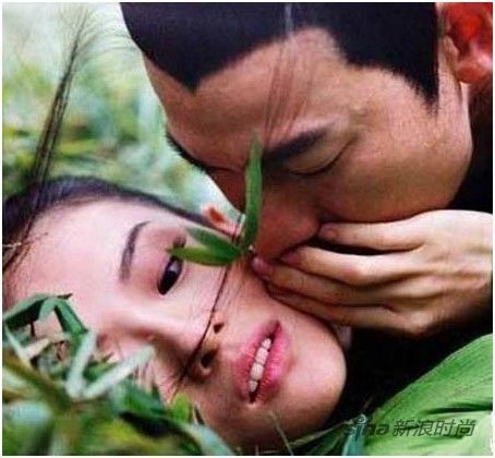 《十面埋伏》章子怡、刘德华