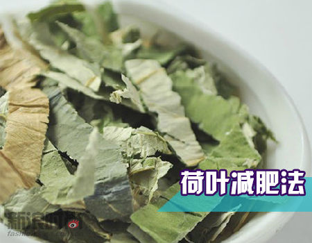 荷叶减肥法 荷叶减肥法