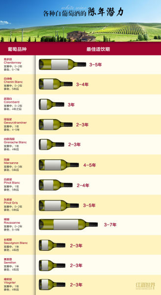 12种常见白葡萄酒的陈年潜力 12种常见白葡萄酒的陈年潜力