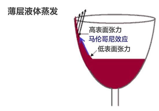 葡萄酒为什么会“流泪”? 葡萄酒为什么会“流泪”?