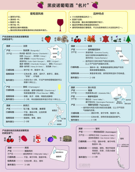 一张图读懂“绝代皇后”黑皮诺葡萄酒 一张图读懂“绝代皇后”黑皮诺葡萄酒