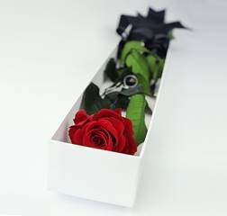花里花店情人节产品“THE ONE” 花里花店情人节产品“THE ONE”