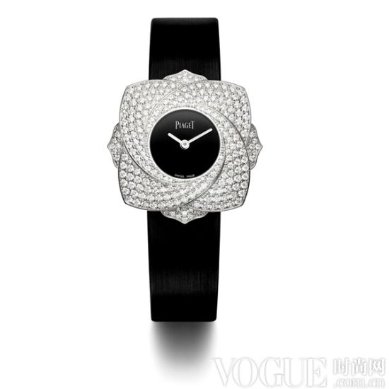 伯爵Limelight Blooming Rose