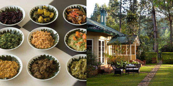 Ceylon Tea Trails
