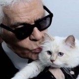 ϷүΪÿ˴һֻèChoupette