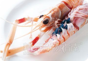 新西兰螯虾 新西兰螯虾