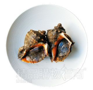 海螺 海螺