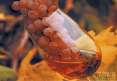 帕赛托葡萄酒Passito 帕赛托葡萄酒Passito