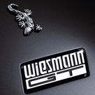 ¹ܳWiesmannƲ