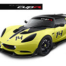 ·˹Elise S Cup R 
