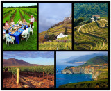 Wine Enthusiast־2013ʮѾξ