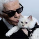 ƳèChoupetteΪеϵ