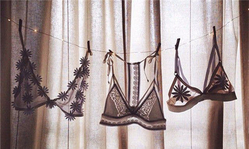 ߼¶Lace BraǸ