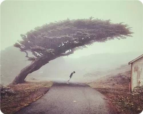 ֱڿˣһŵ 