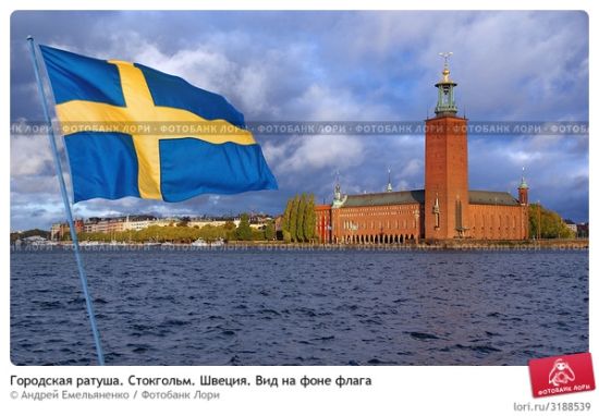 瑞典大选惊现星际2竞技比赛-手浪游戏专区