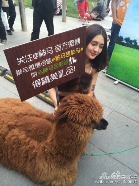 草泥马
