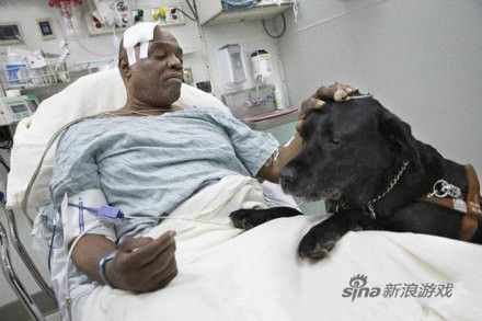忠犬救主