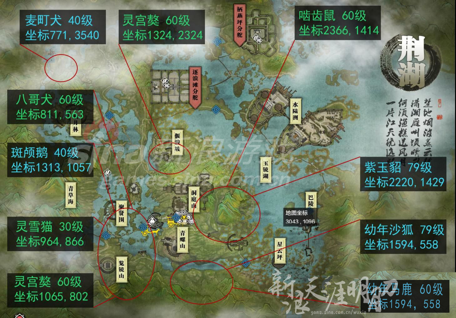 天涯明月刀荆湖狩猎点坐标地图 荆湖宠物坐标汇总