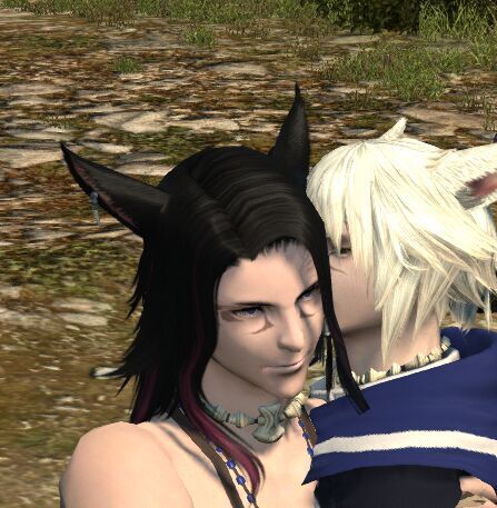 ff14两个纹身猫男的幸福日常 高能截图基情满满