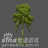 死泽树妖