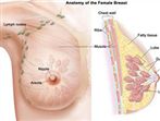 乳腺癌早期信号