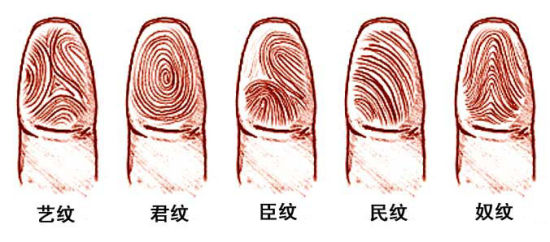 指纹能暗示一生健康