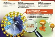 H7N9 רӼԷ